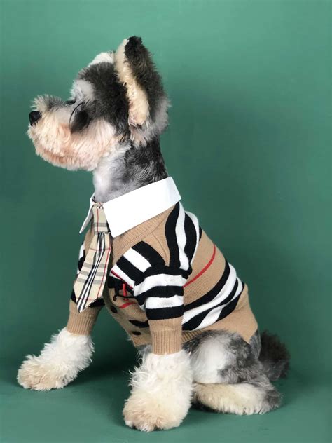 luxury designer dog clothes